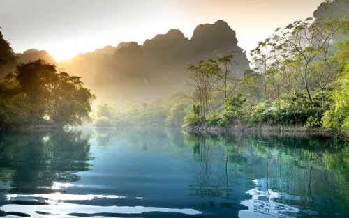 高性能高性能